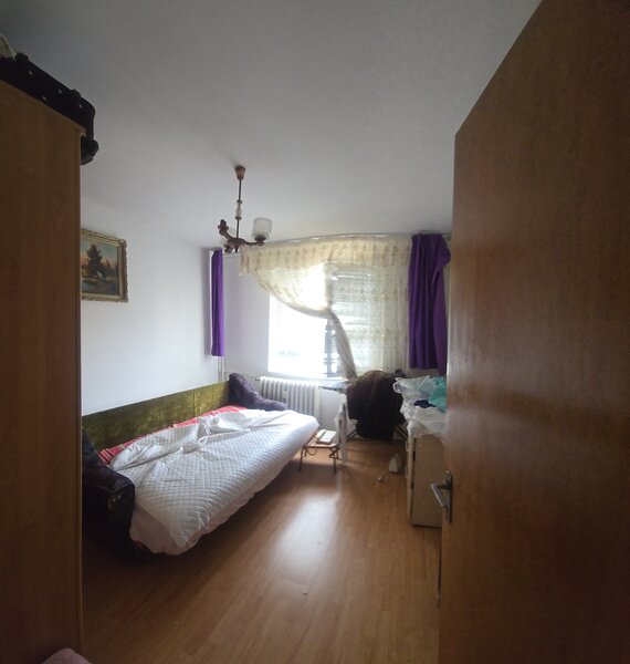 Colentina - Teiul Doamnei