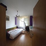 Colentina - Teiul Doamnei